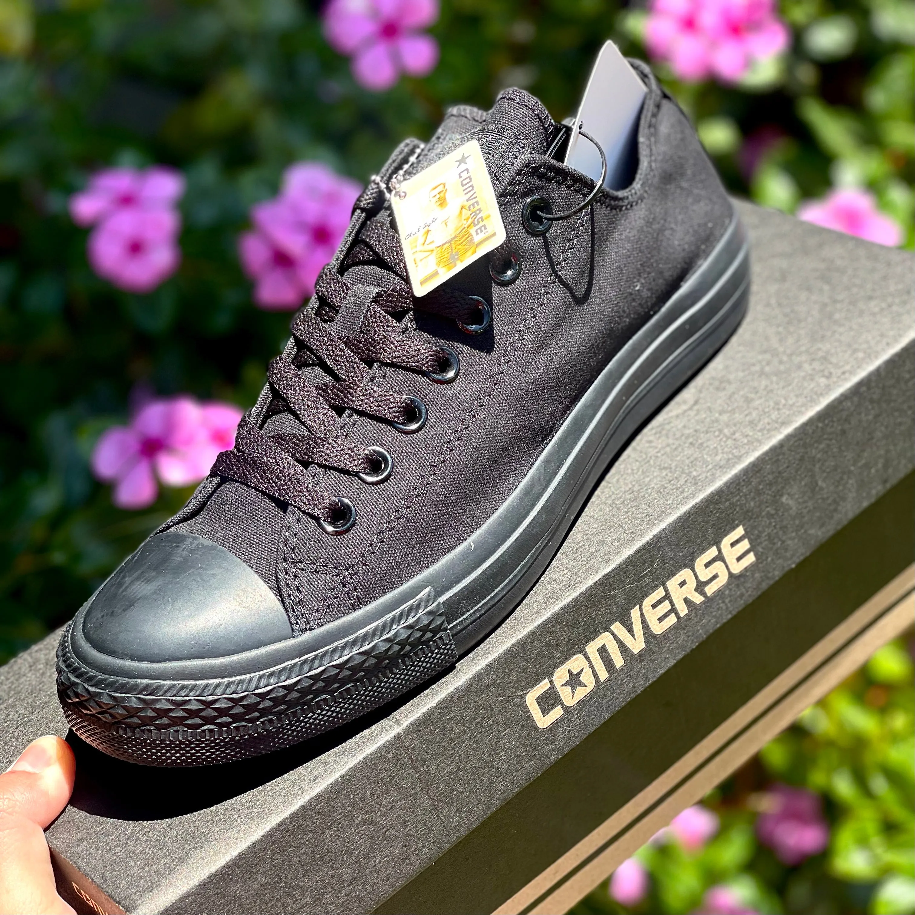 Chuck Taylor All Star Low - 'Black Mono'