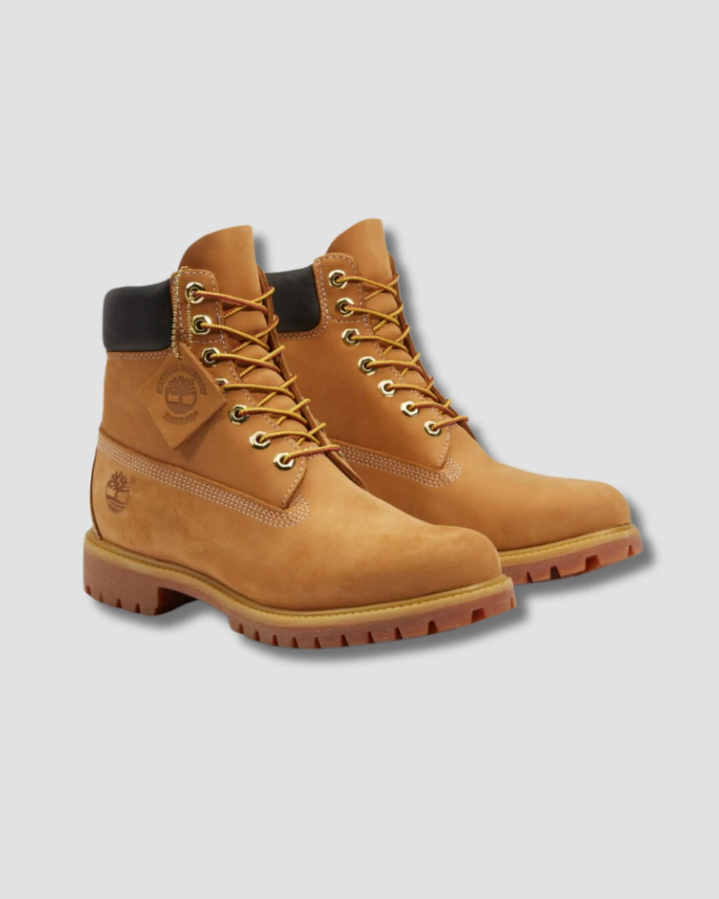 Men’s Timberland® Premium 6-Inch Waterproof Boot