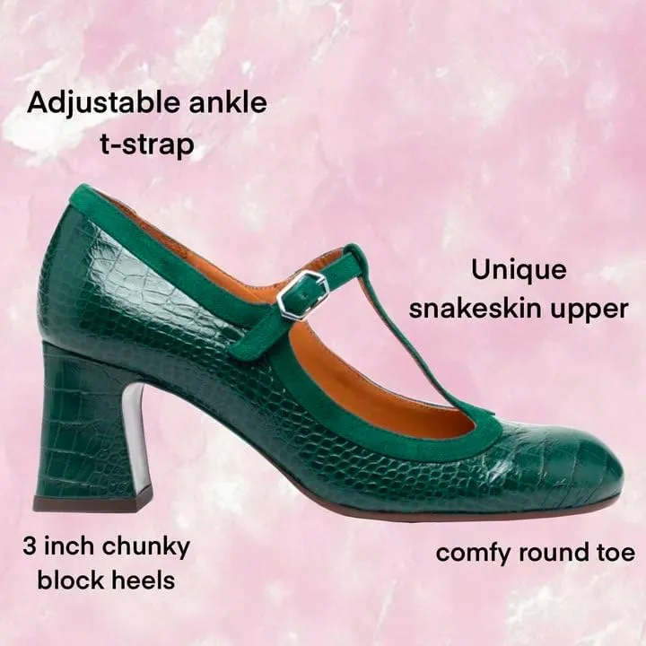 Women Chunky Heel Mary Janes Pumps Crocodile Closed Round Toe Ankle T-Strap Mary Janes Cut Out 3 inch Block Heel Sandals Buckle Strap Stone Pattern Vintage Wedding 4-11 M US