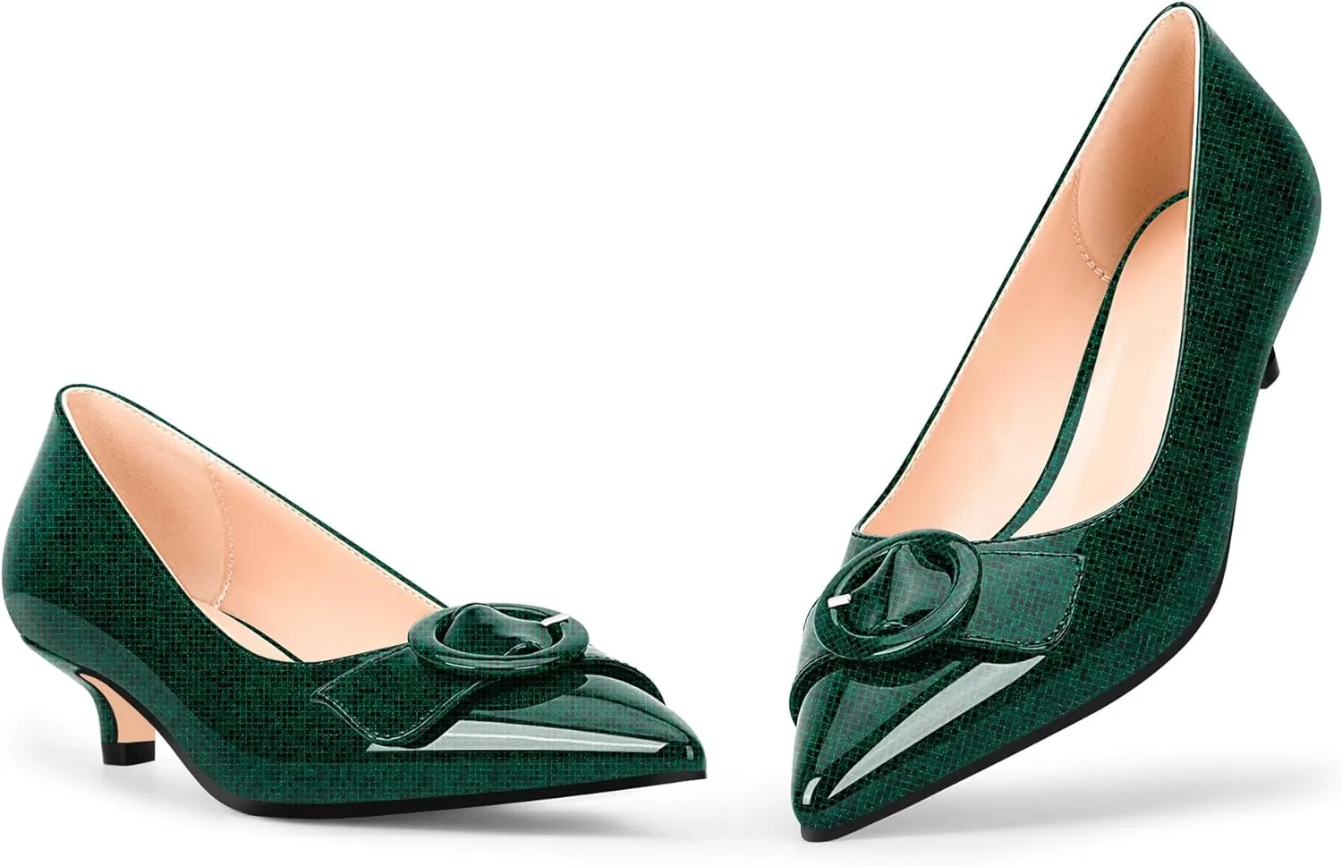 Women's Low Kitten Heel Pumps Pointed Closed Toe Buckle Slip On Office Comfort Shoes